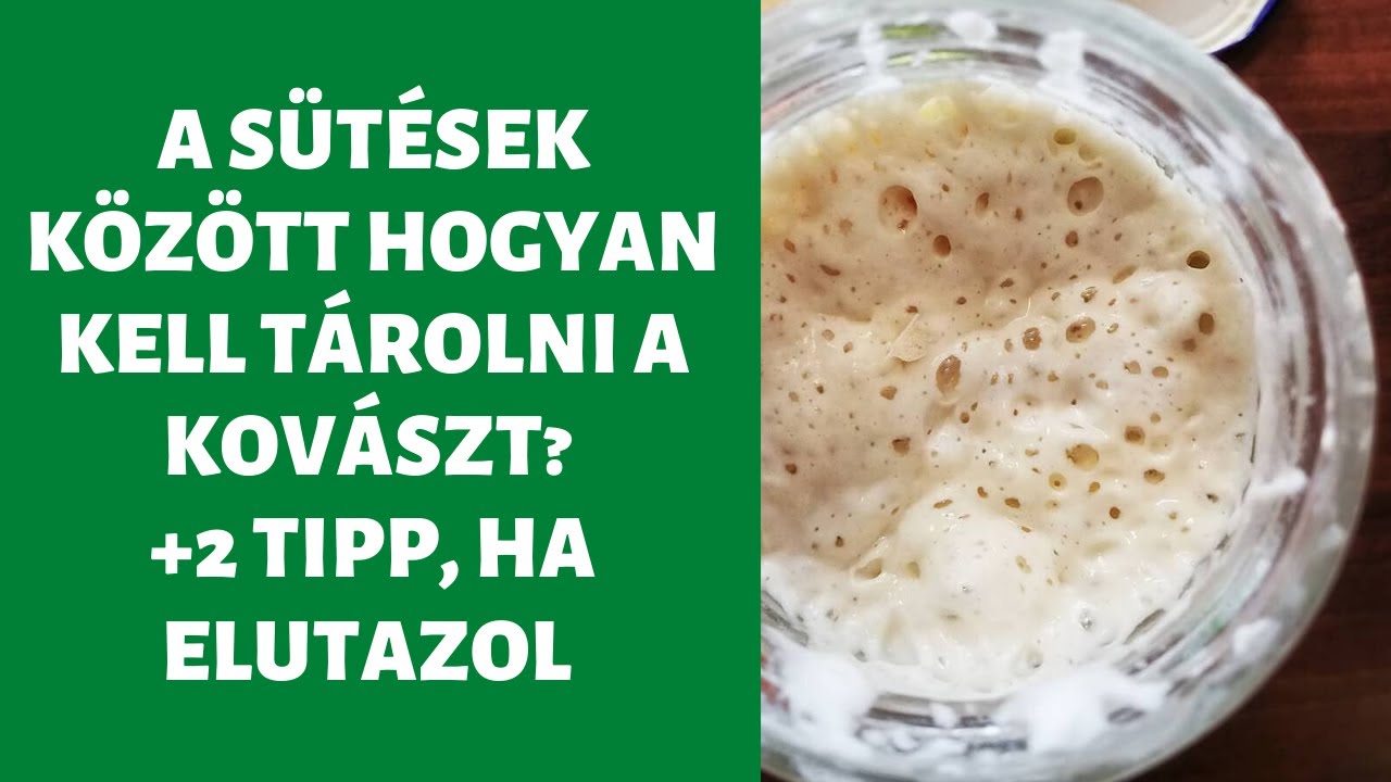 Sütések között hogyan kell tárolni a kovászt? +2 TIPP, ha elutazol