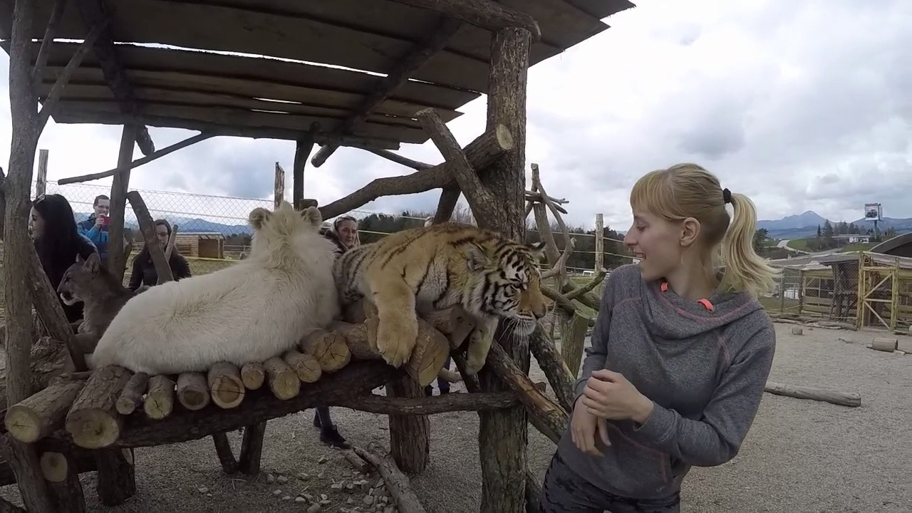 ZOO Kontakt - Liptovský Mikuláš, Slovensko