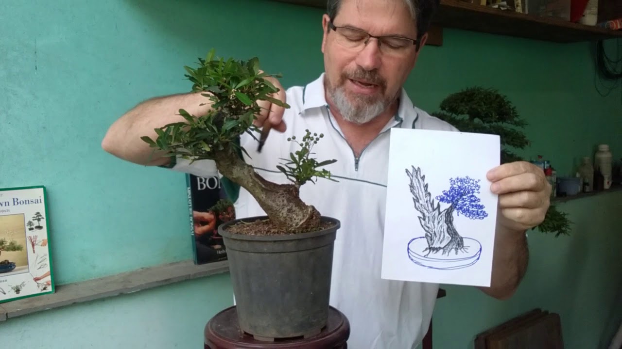 Projeto de Mame de Piracanta