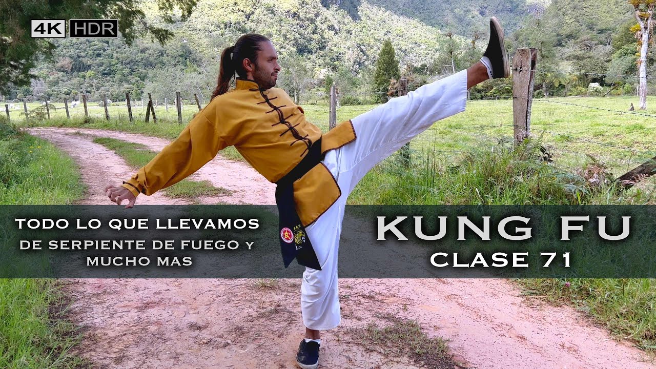 Todos los pasos que llevamos y mucho mas * Clase 71 de Kung Fu - Wushu * 4K HDR *