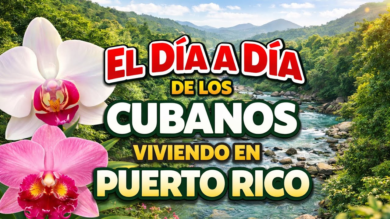 Cubanos en su día a dia en una casa de campo en Puerto Rico