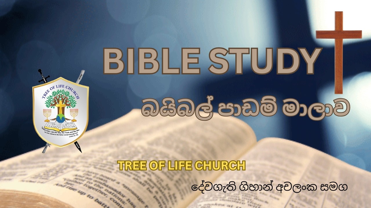 උත්පත්ති 37, 39,40,41 ✝️🔥🙏🏻 යෝසෙප් ගේ ජීවිතෙන් පාඩමක්, ඔබගේ සිහිනය සියල්ලන්ට නොකියන්න //0742619816