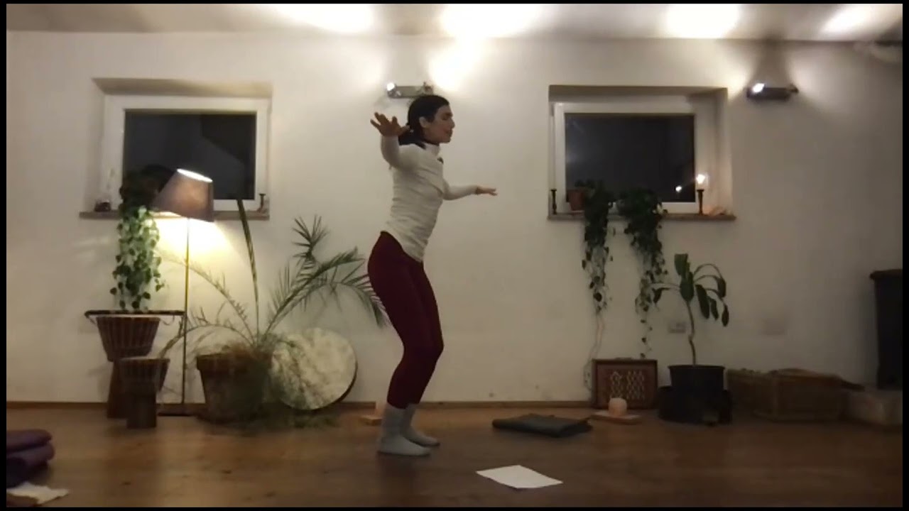 Haṃsa: serve tutto il corpo, per orientarsi elegantemente tra i pensieri