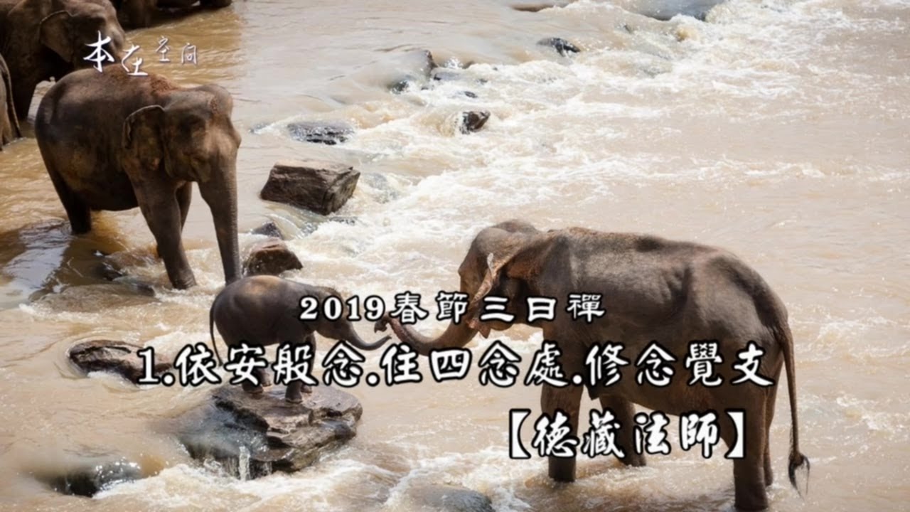 2019春節三日禪01.依安般念.住四念處.修念覺支(雜阿含215經)[德藏比丘]