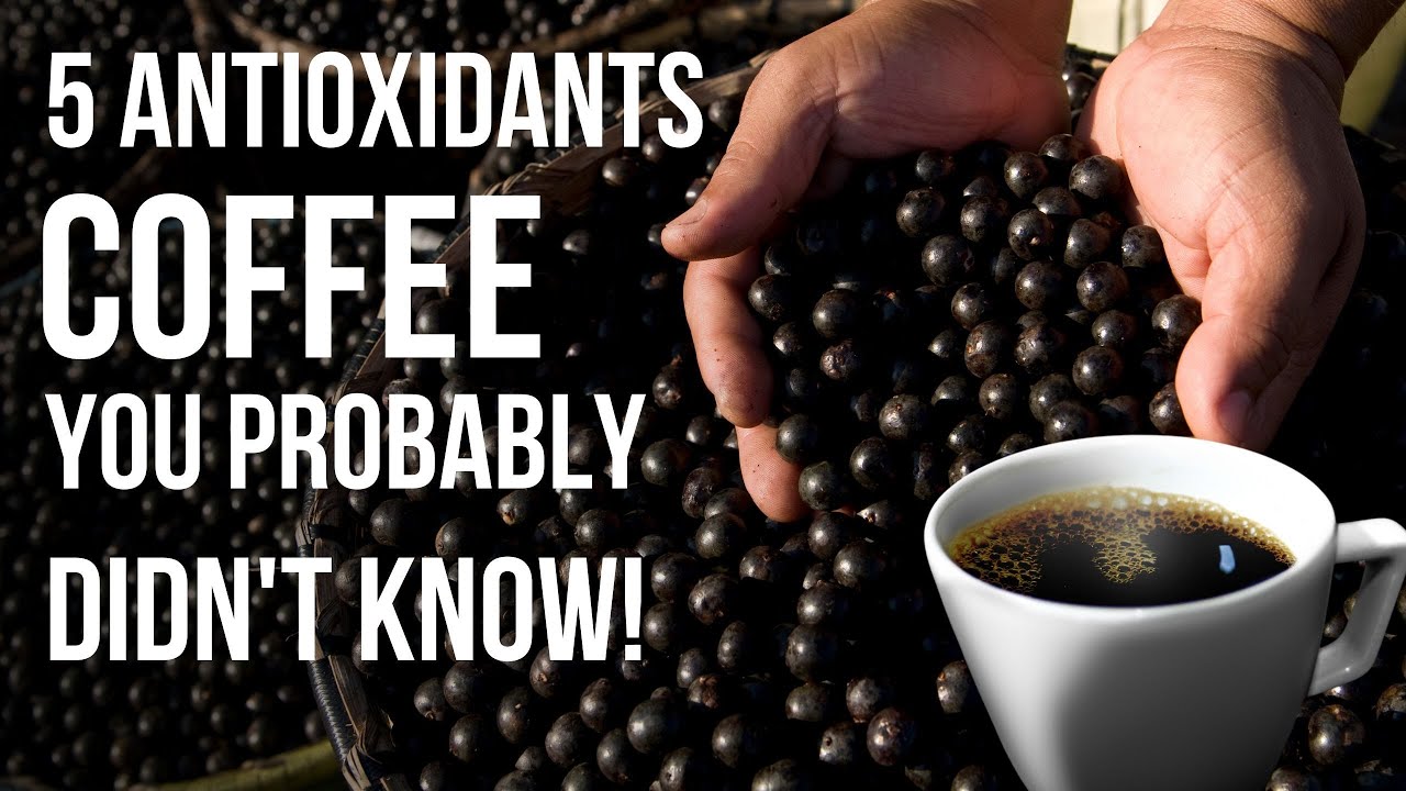 5 Antioxidants in Coffee You Probably Didn't Know! | Coffee Buzz Club |