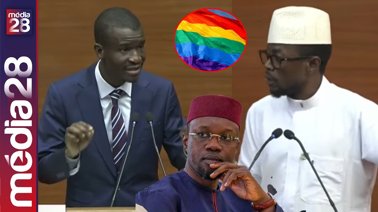 Loi contre l’homosexualité : Me Bamba Cissé enflamme l’hémicycle et met fin au débat - ça chauffe 