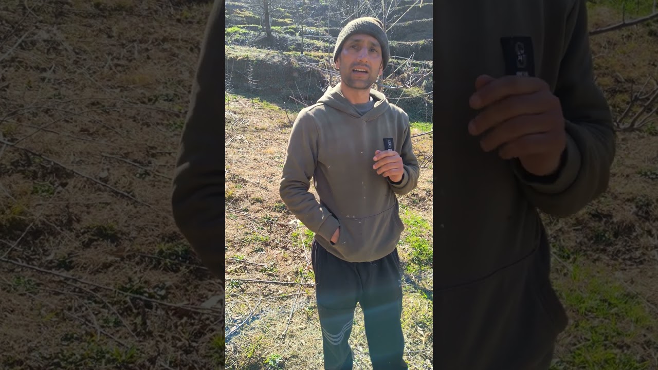 Apple orchard grafted on Broll (A Native Himalayan wild Rootstock) || Pawan Panta || PlantsPazifika
