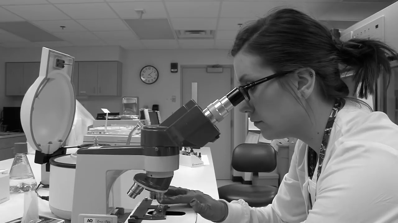 Medical Technologist - Career Connections - WBGU