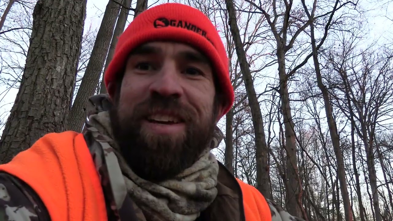 Deer Hunting with the 350 Legend, Turkeys Flew Up Near Me!