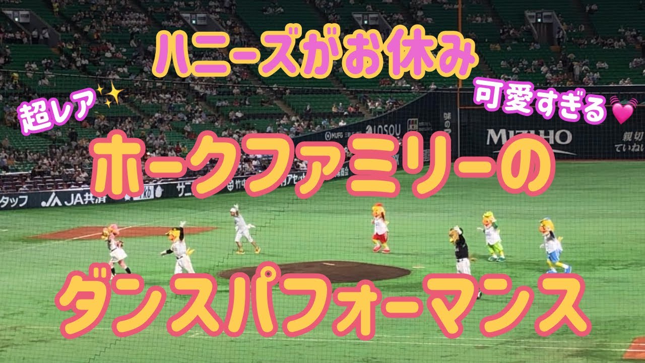 【ホークス】★超レア★ハニーズがお休みでホークファミリーだけでのオープニングダンス✨