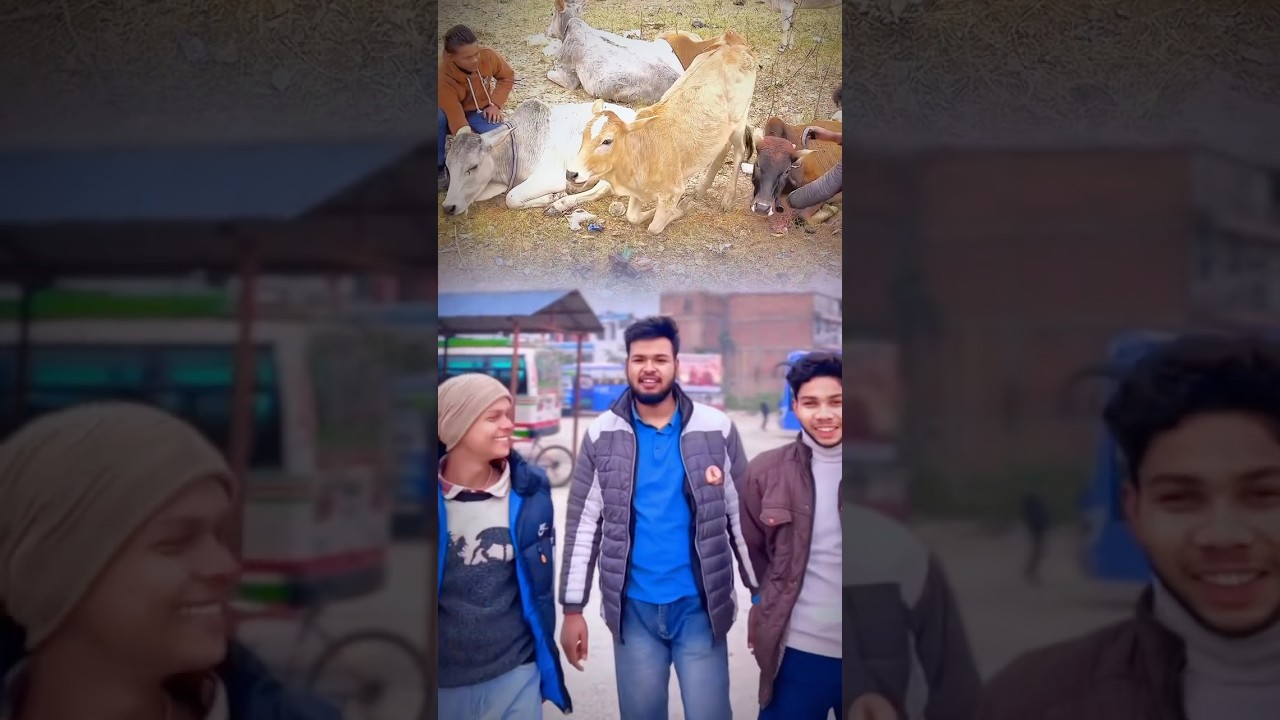 The Untold Stories of Gau Rakshaks: Protecting Cows at All Costs!