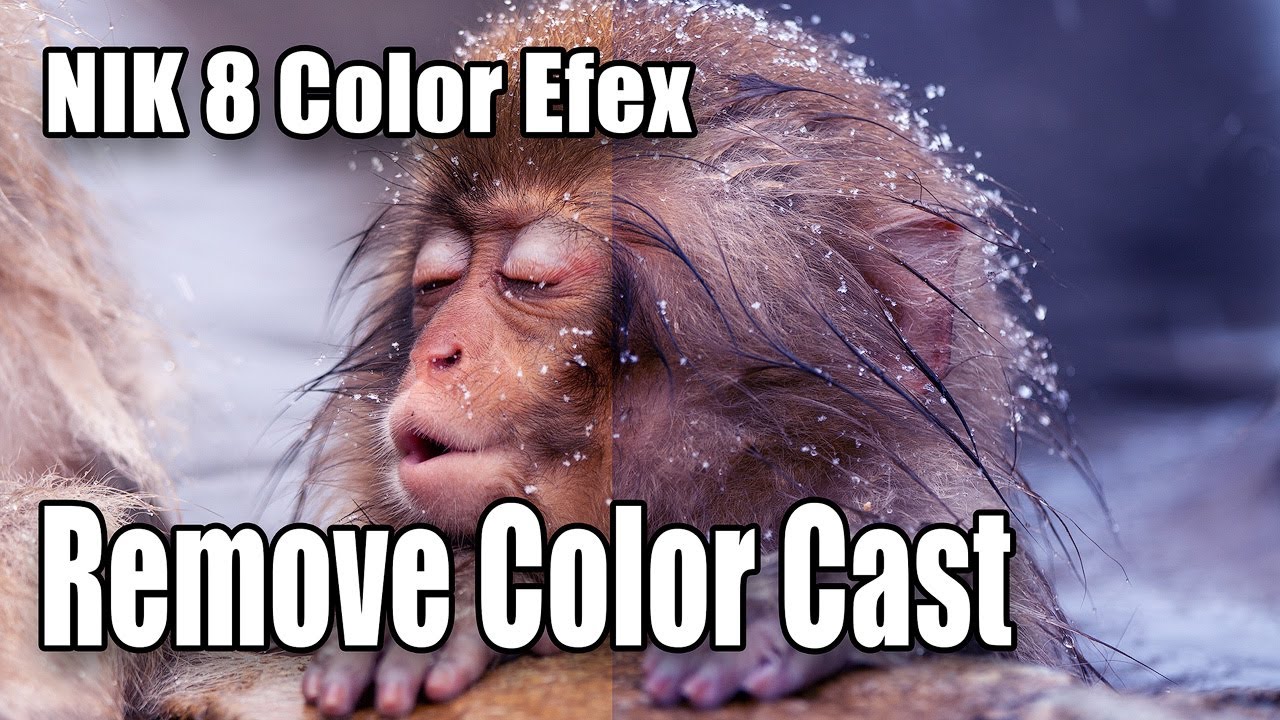 Удаление цветового искажения в Nik 8 Color Efex | Быстрое исправление нежелательных цветовых отте...