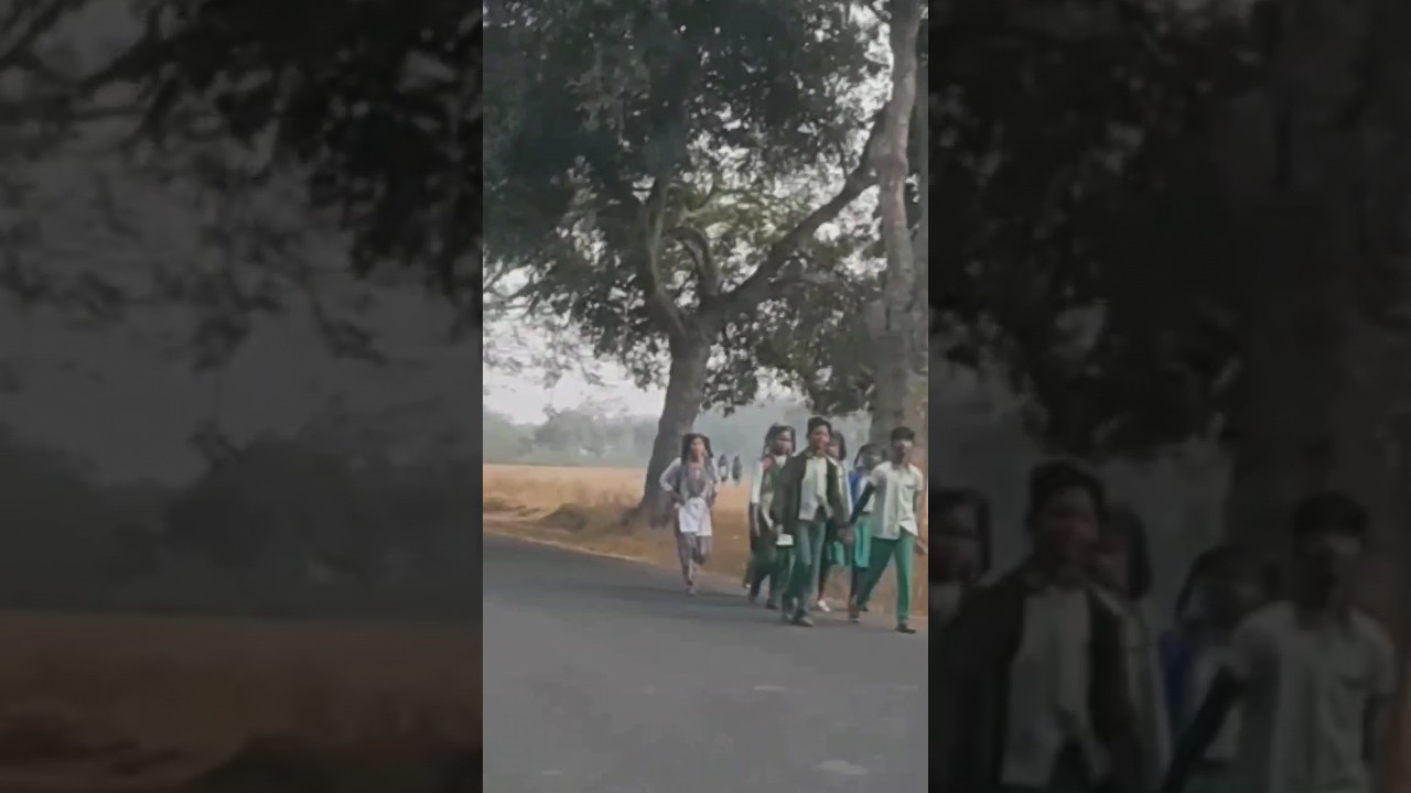 डमकच गीत | Sadri damkach video | New damkach song  
