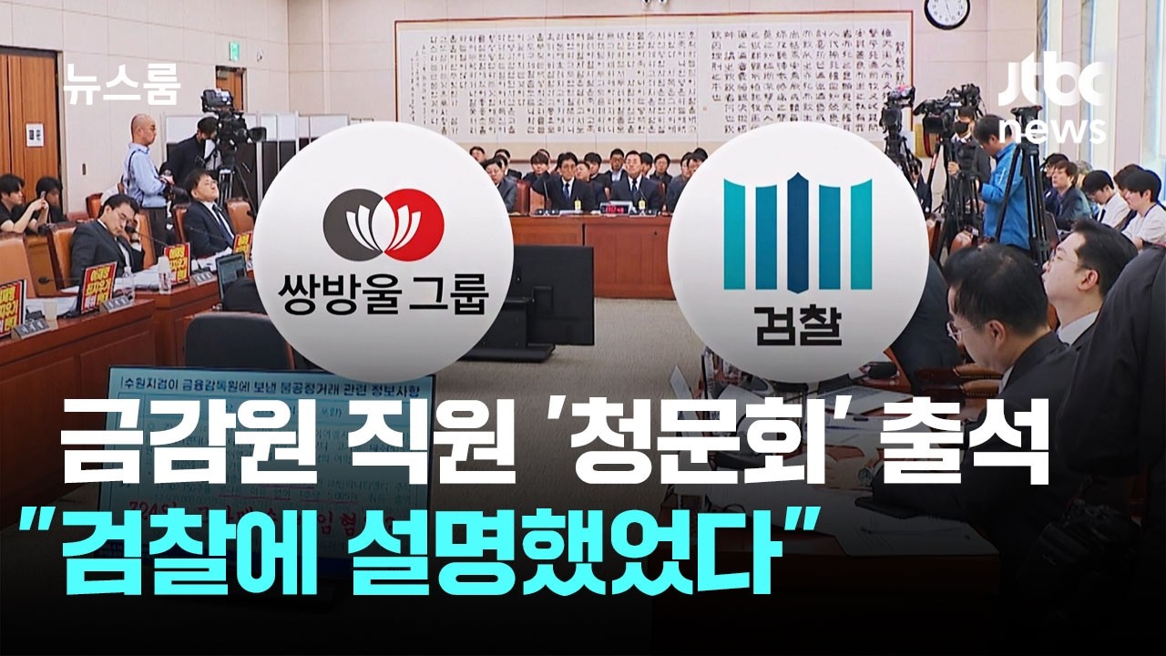 금감원 직원, '조작기소 청문회' 출석 
