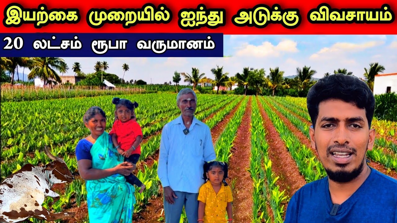 அதிக லாபம் தரும் ஐந்து அடுக்கு விவசாய முறை 🌳😍👌 A highly Profitable Five Layers Farming system 🌴😊