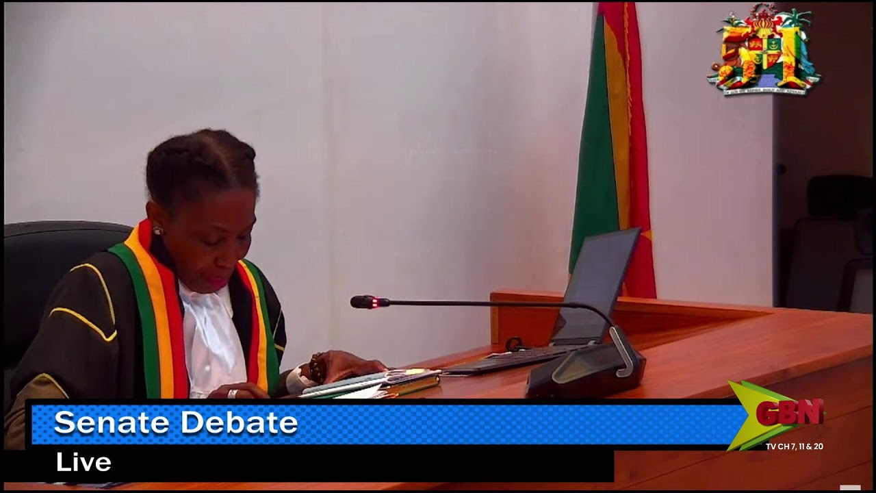 Senate Budget Debate | March 20th, 2025| Morning Session | Day 2 (PT 2)