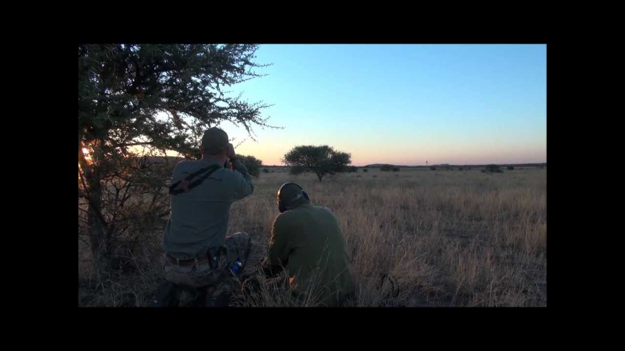 Blesbuck hunt in Afrika May 2013