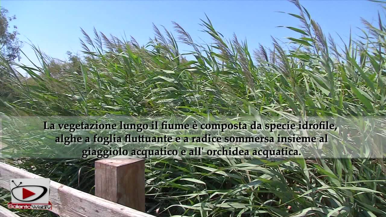 La foce del fiume Idume a Torre Chianca, un tuffo nell'acqua dolce