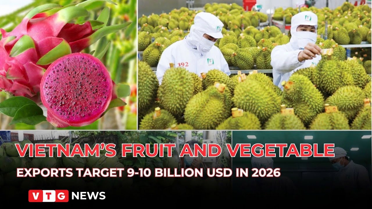 Vietnam’s fruit and vegetable exports target 9-10 Billion USD in 2026
