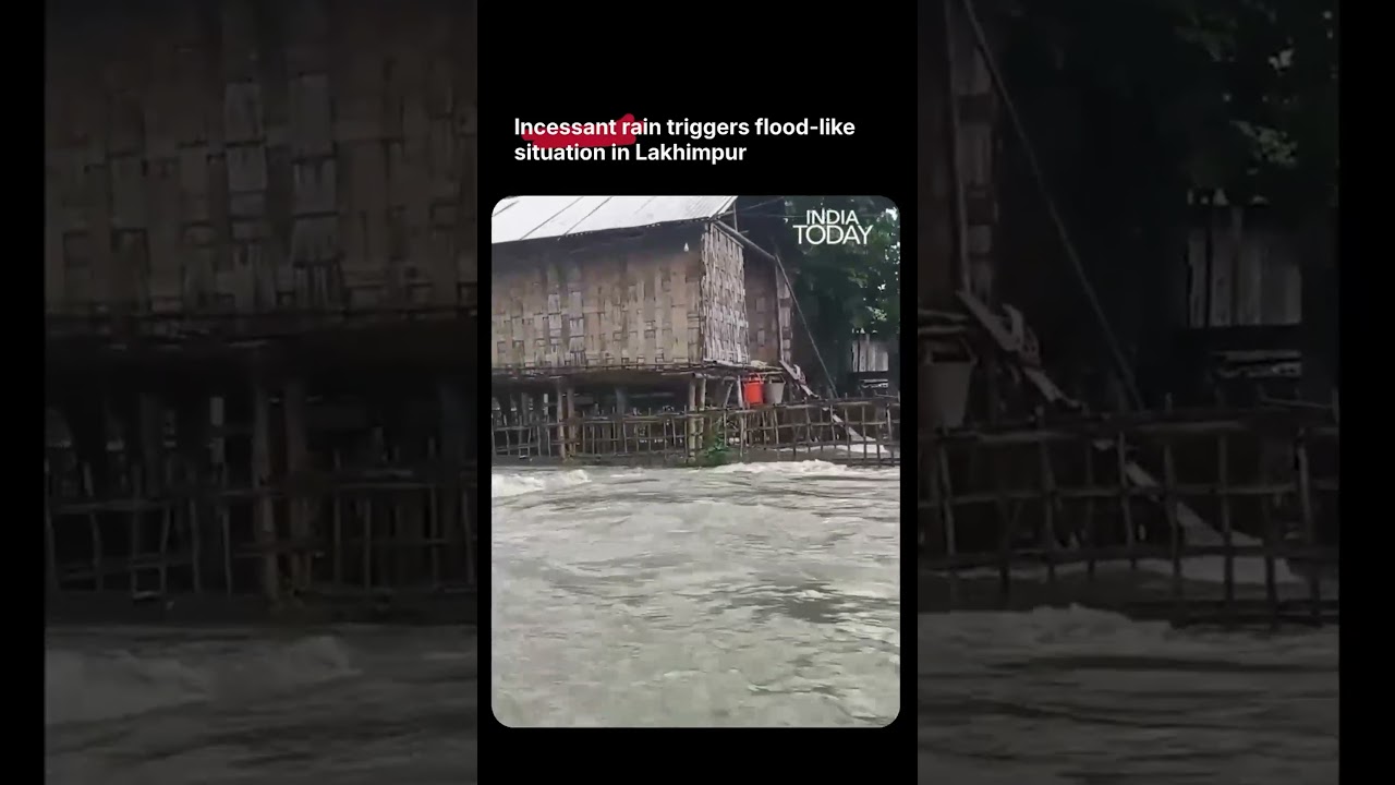 Assam's Lakhimpur Struggles As Floodwaters Swallow Residential Areas | #assam #floods