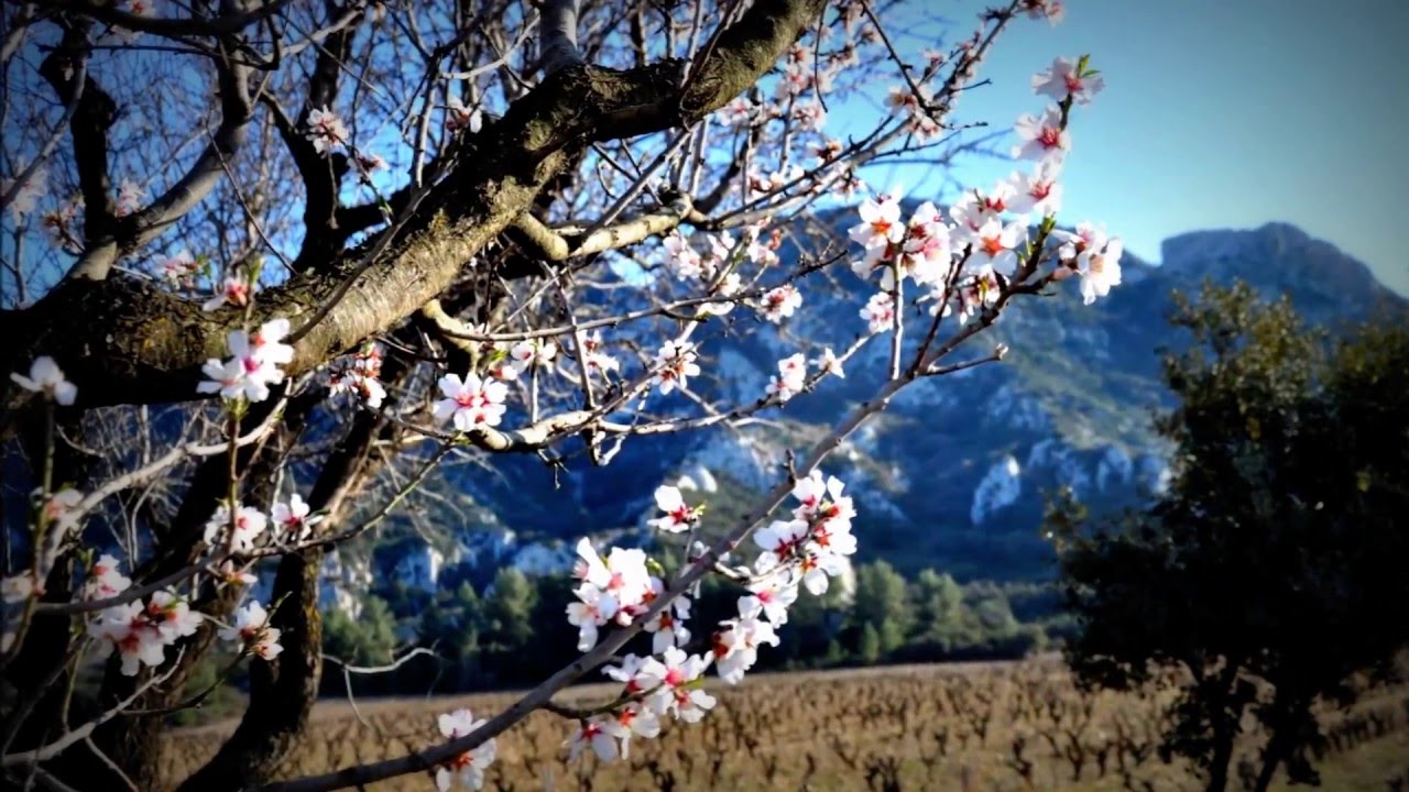 Julien RO - Spring in Provence