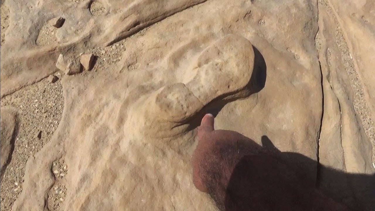 اشارة القدم  الشمسية دفائنها شمسية