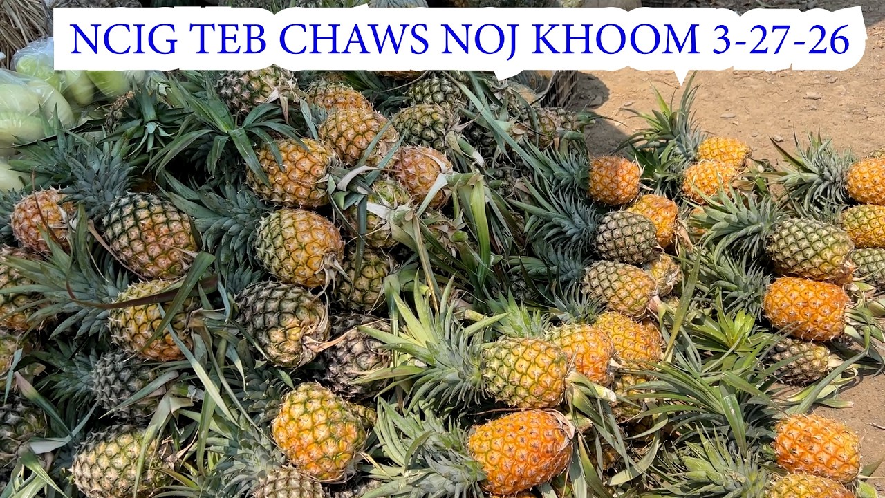 Hmong tv network NCIG TEB CHAWS NOJ KHOOM 3-27-26