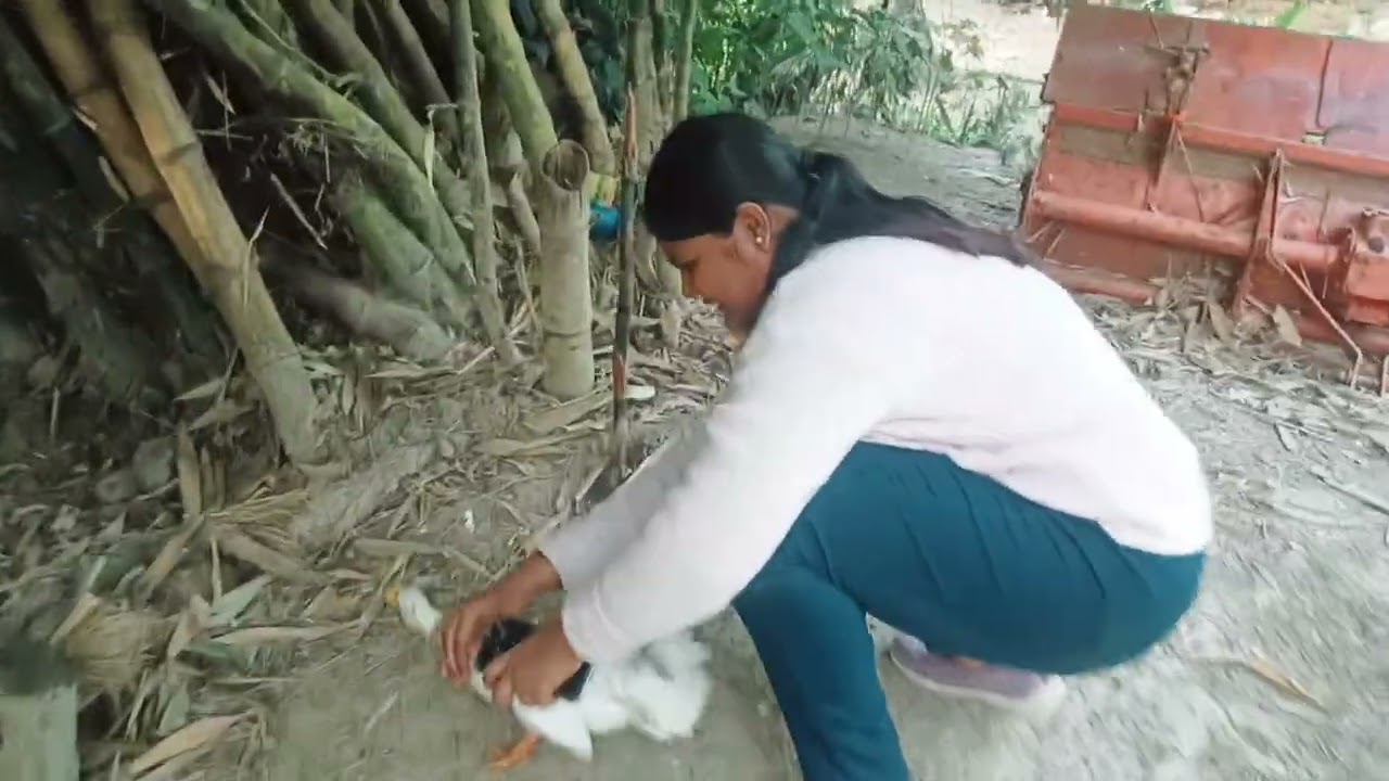 #Villagediary
