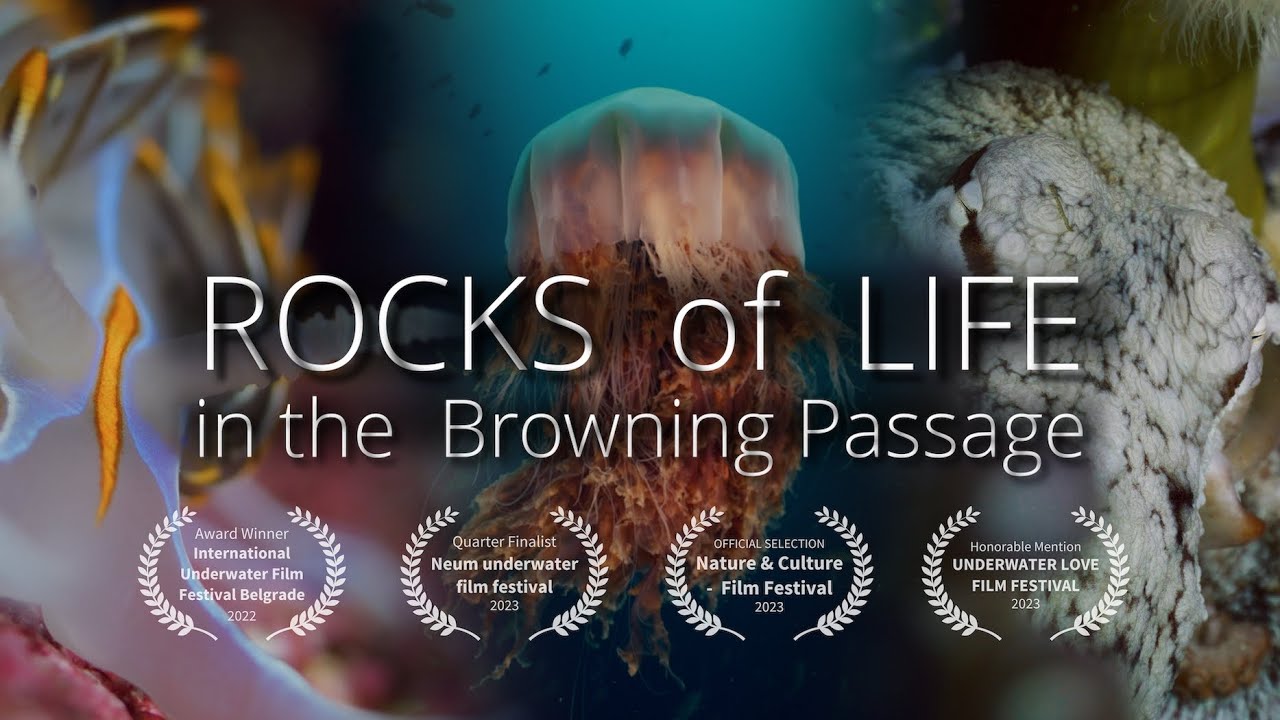 Rocks of Life - Scuba diving in British Columbia-shot on RED Komodo in 6K