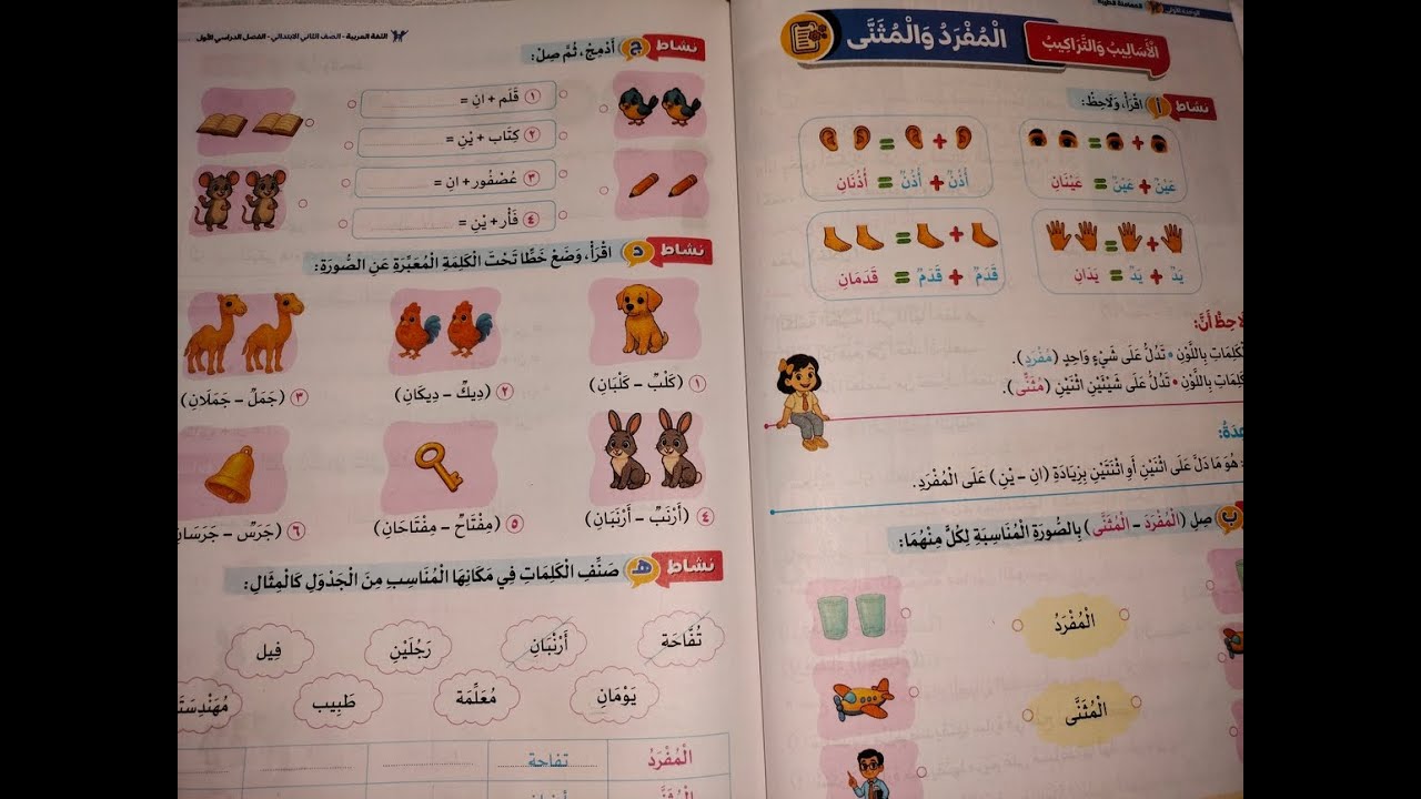 حل أنشطة كتاب سلاح التلميذ المنهج الجديد 2026 درس المفرد والمثنى للصف الثاني الإبتدائي🌹🌹