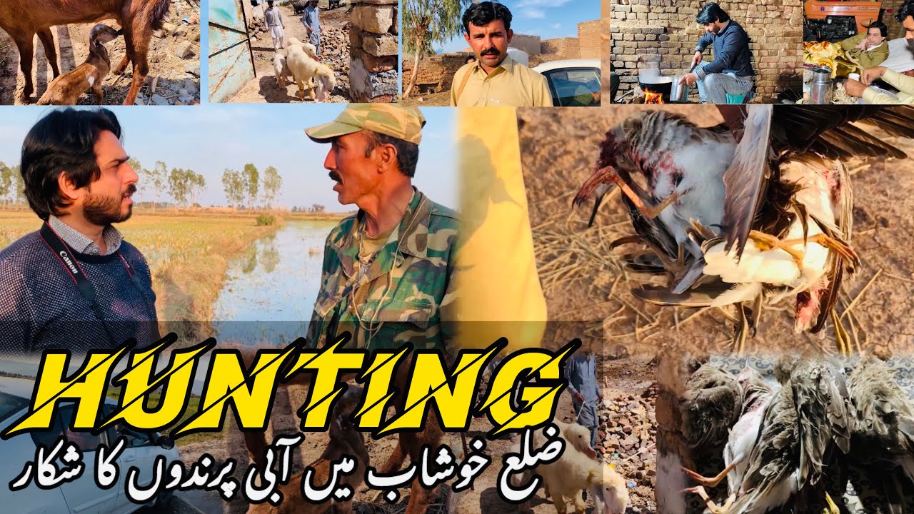 Hunting and Cooking Birds or Desi Murgh Karahi | District Khushab Pakistan 🇵🇰 