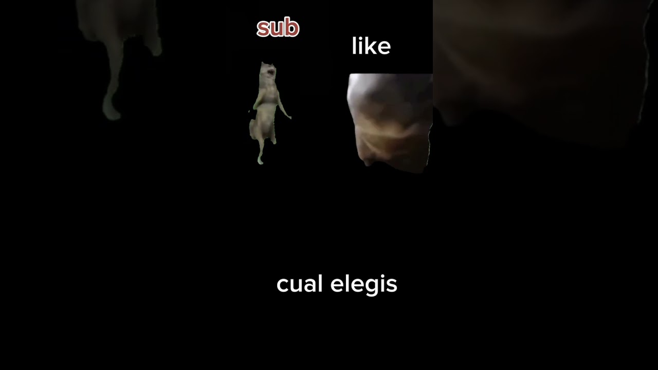 el que lee esto me debe un like