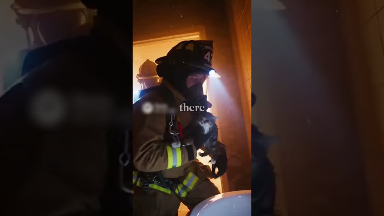 Not all heroes wear capes… some carry cats 🚒😻💪 