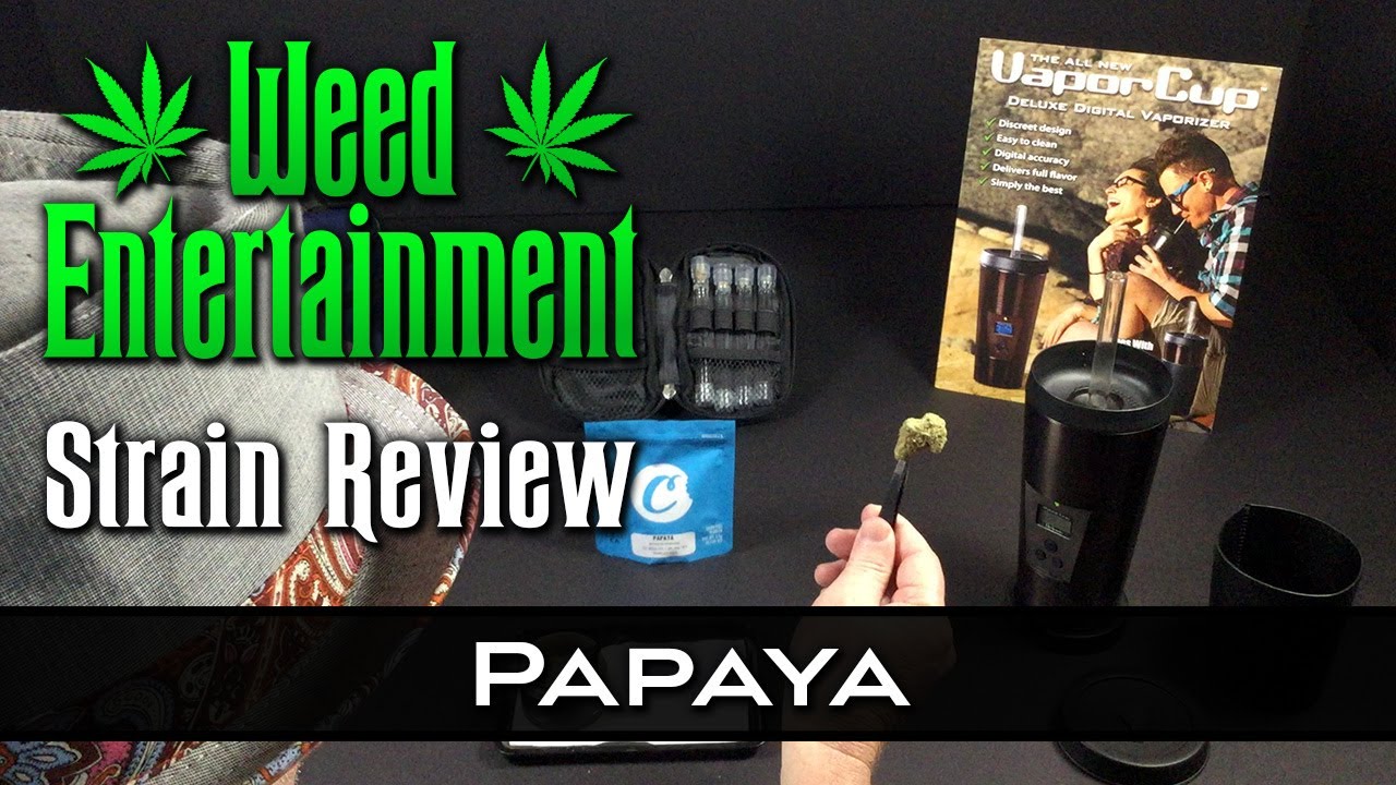 Papaya - Hybrid - by Cookies - Strain Review - from Dr Greenthumbs, Sylmar, Ca