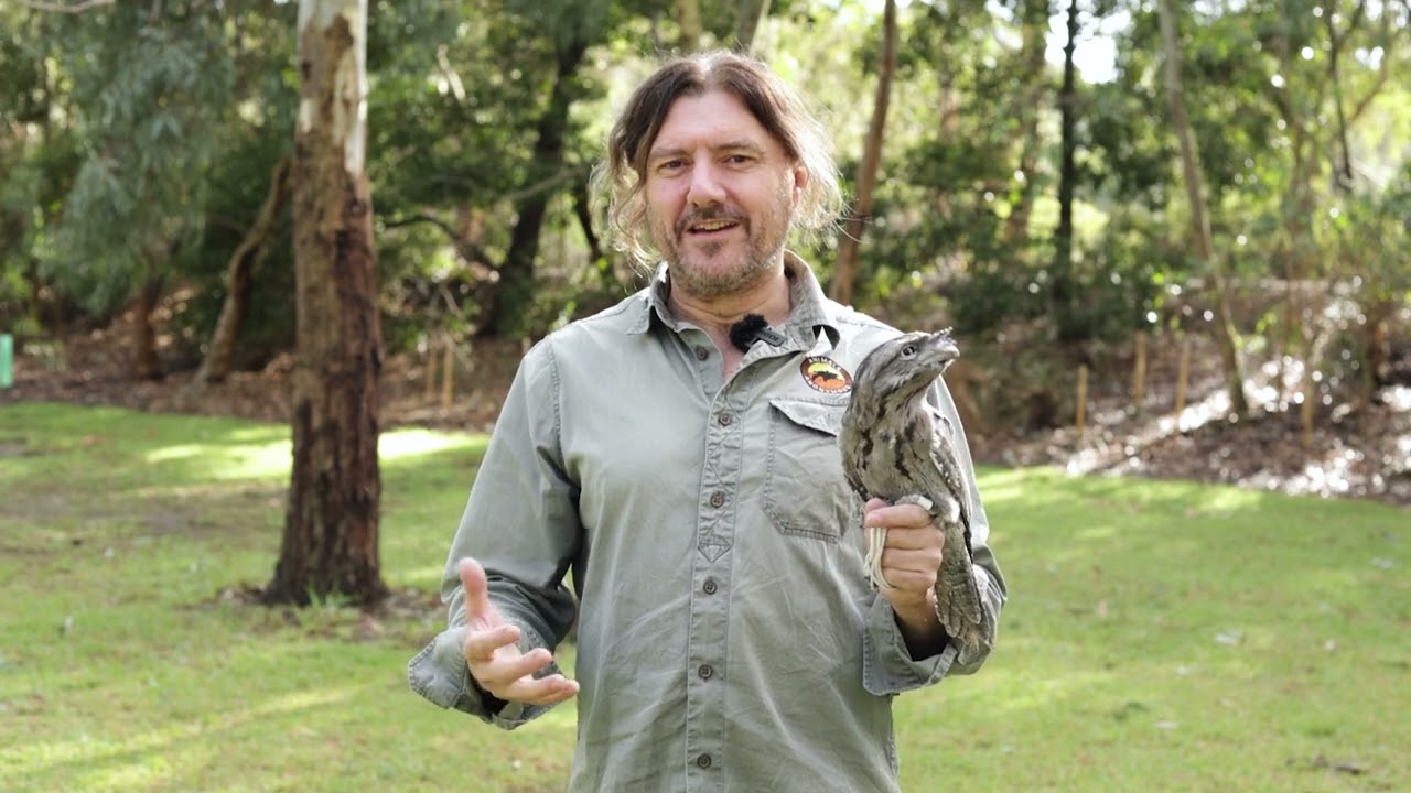 Mount Barker A City Growing With Nature
