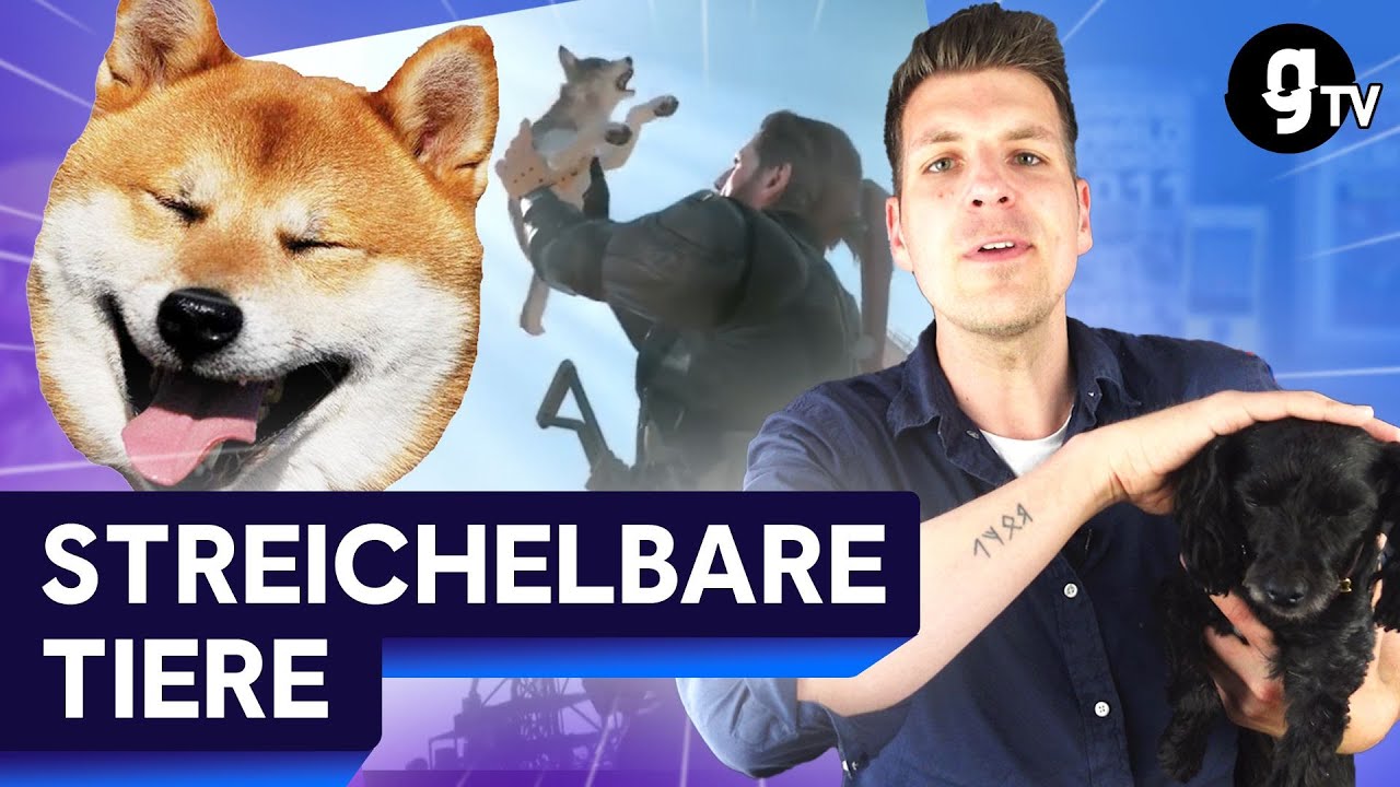 Ein Herz für Tiere: diese Spiele lassen euch Hunde streicheln | FIRSTS #31 mit David Hain | gTV