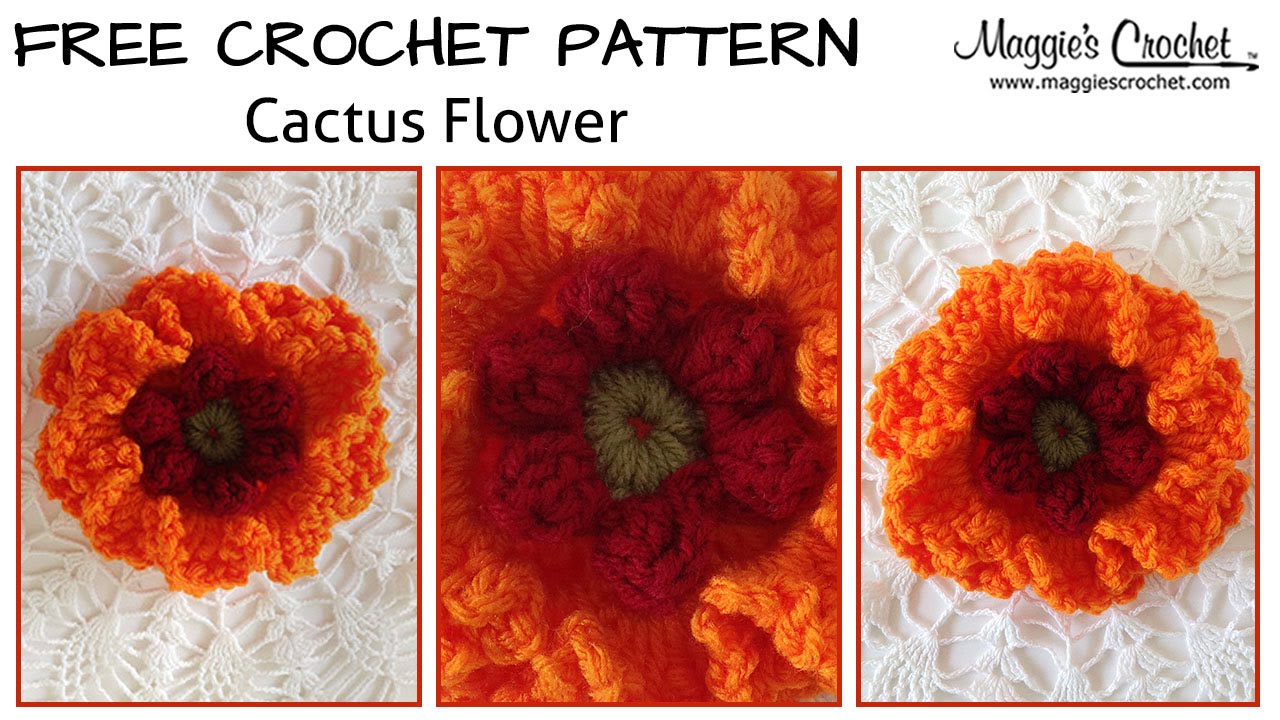 Cactus Flower Free Crochet Pattern - Right Handed