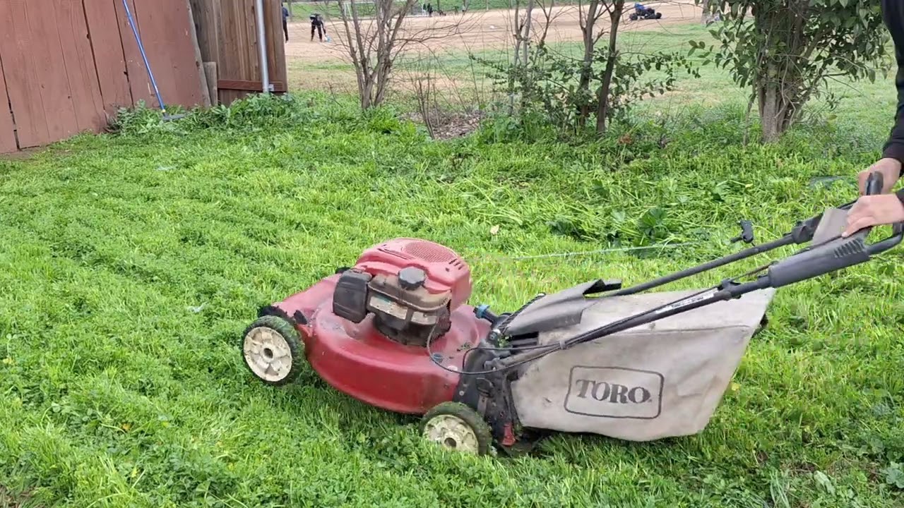 lawn renovation time💪🏆