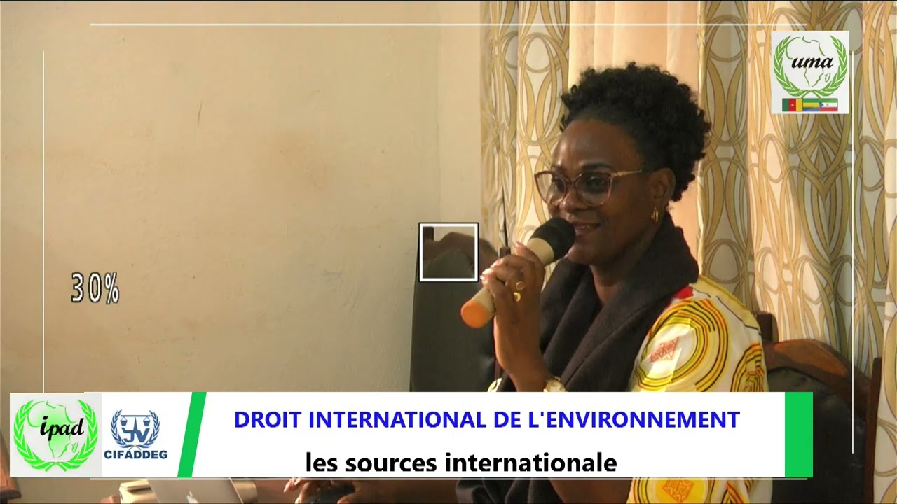 CARRIERES INTERNATIONALES ET DIPLOMATIQUES