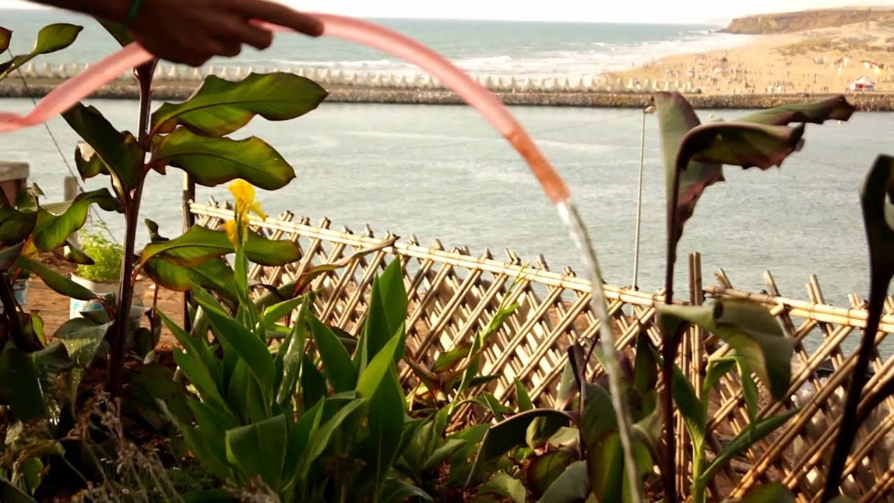 This is My HOME - LARACHE العرائش
