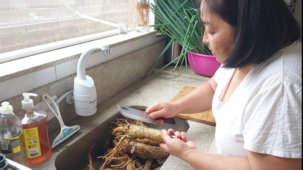Hoje colhemos BARDANAS (Gobô) e preparei Kimpirá (prato japonês)