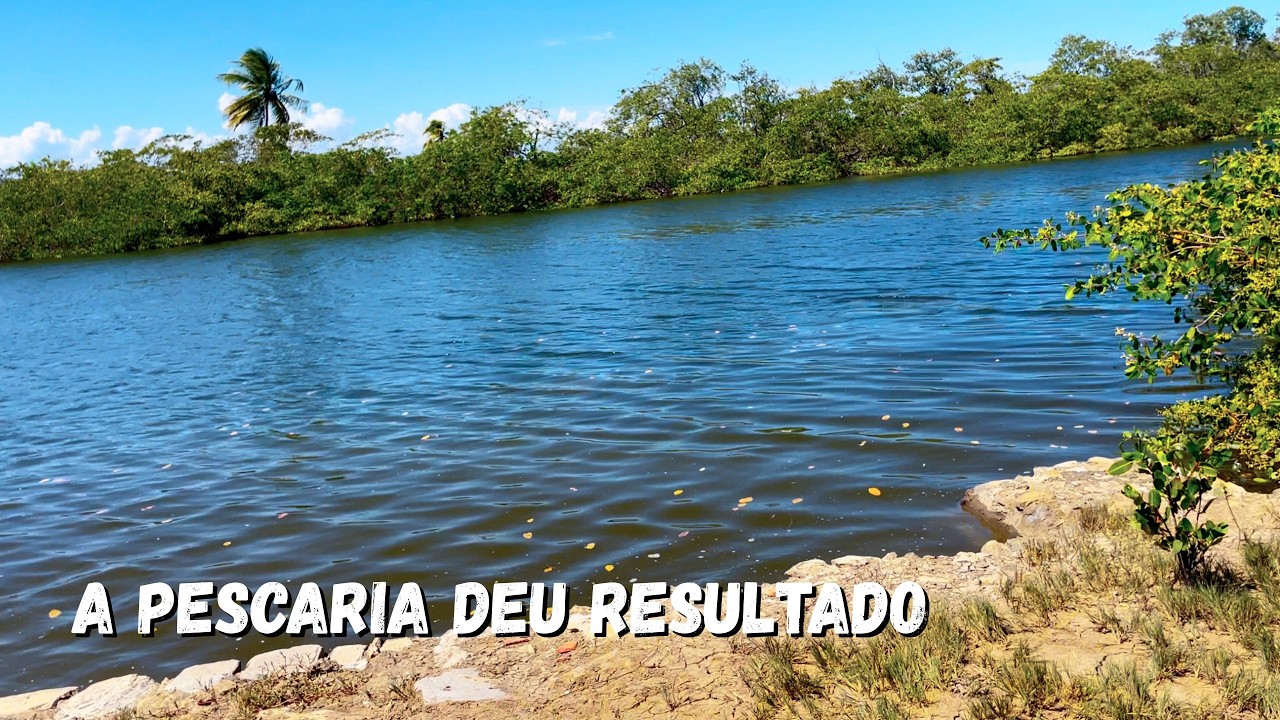 Fui Acampar e Deu Tudo Errado! 😱 Nunca Passei Tanto Perrengue 🔥