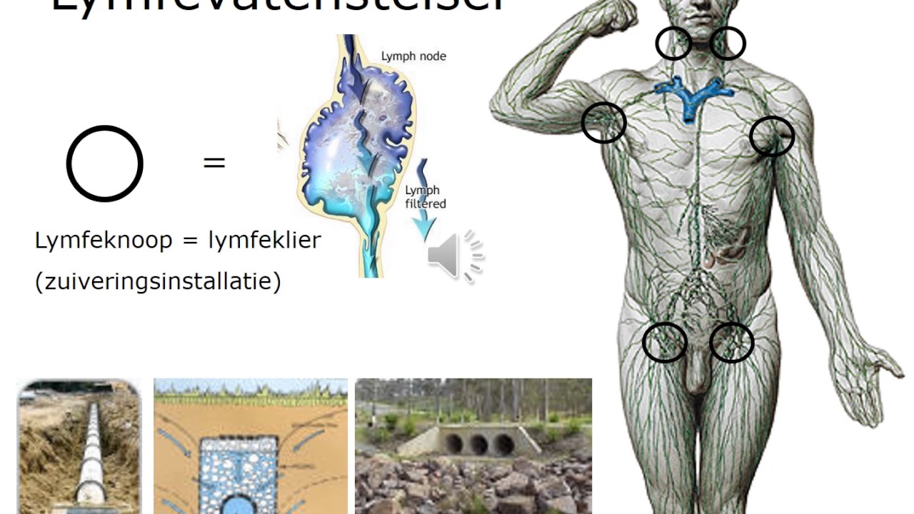 Dehydratie en vochthuishouding