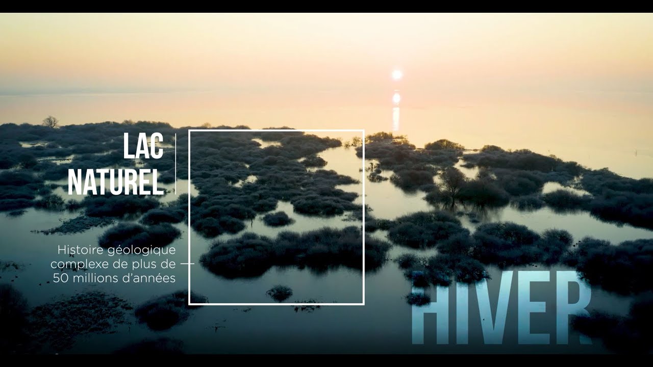 La Réserve naturelle nationale du lac de Grand-Lieu en hiver