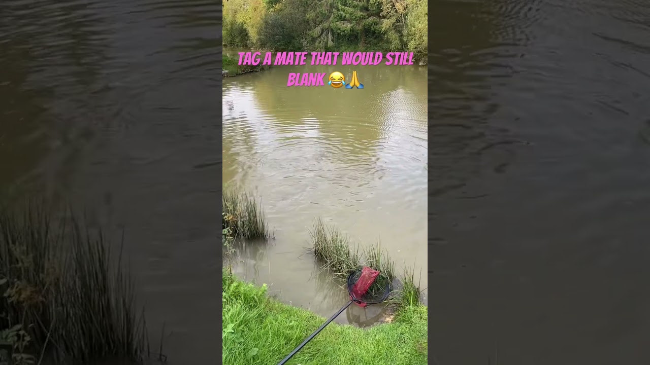 You all know someone ☝️ #carpfishing #fishing #carp #fish #carping #carplife #lake #carpy #angling