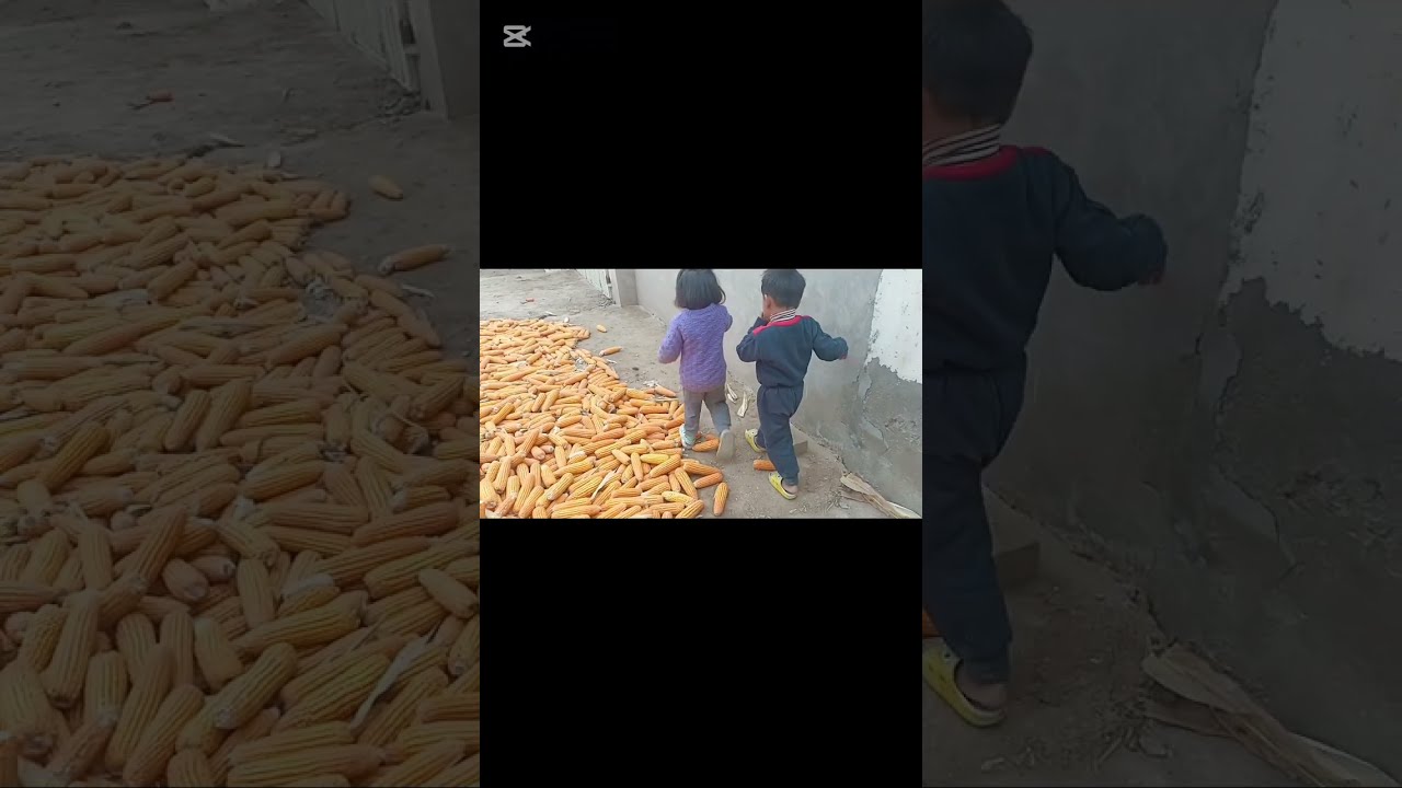 Aoun🥰Ayzal😍enjoying at Musa's place & Playing wid Corns🌽|Musa aoun hasam ayzal had a great time #new