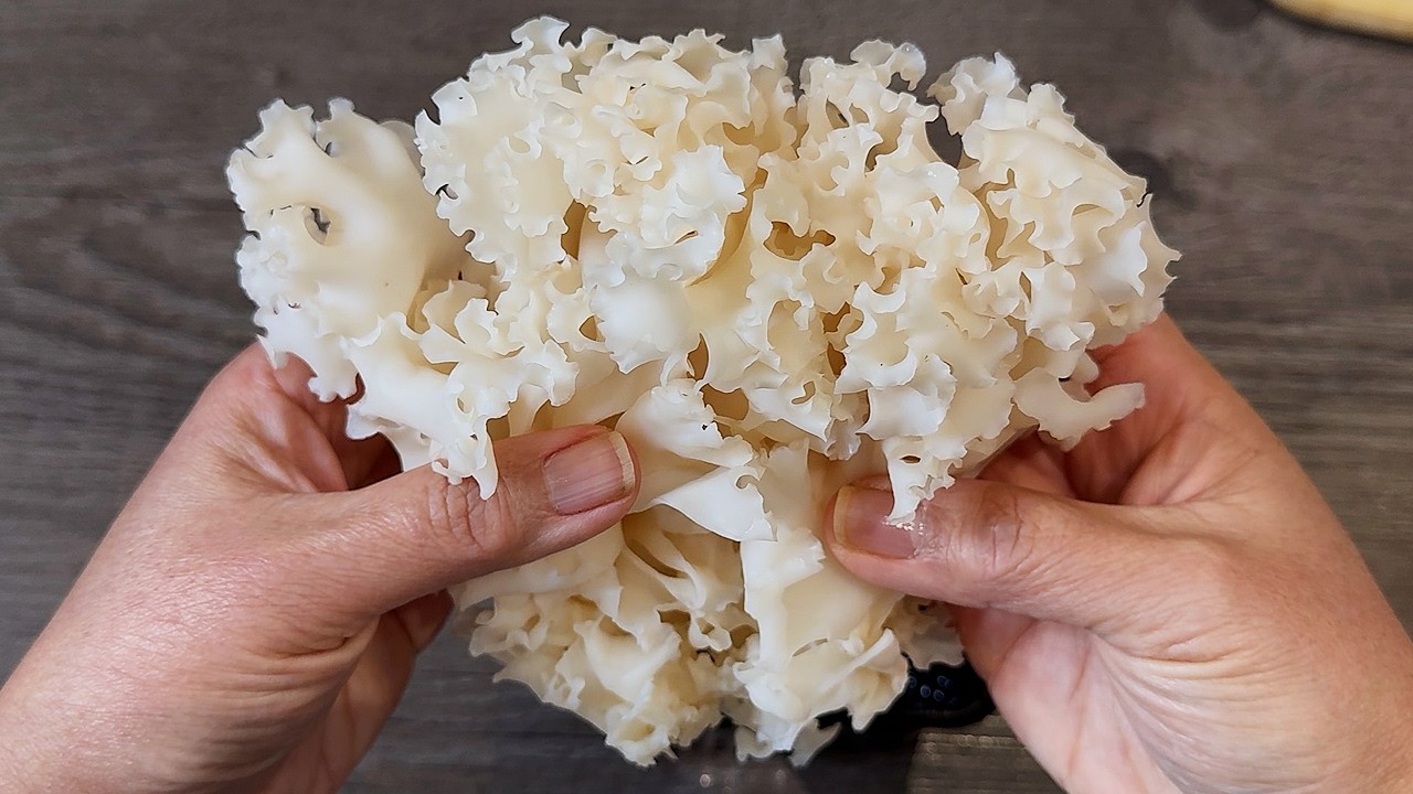 Впервые попробовала «грибы из цветной капусты», невероятно вкусно! #грибы #веган