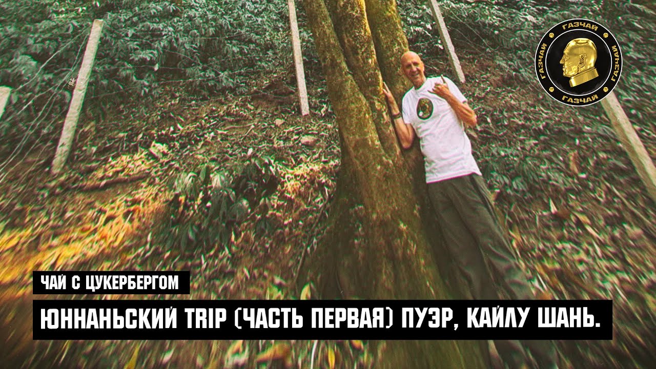 Чай с Цукербергом. 