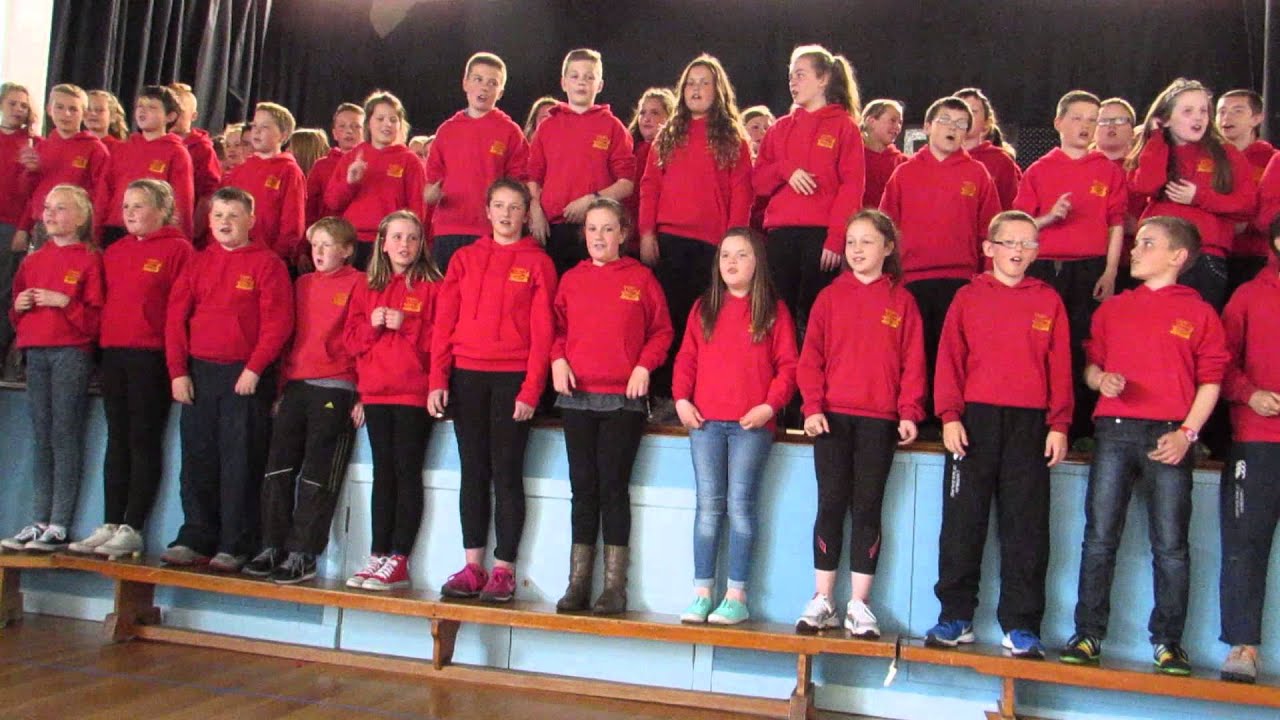 Papdale P7 Leavers 2015 - Reach for the Stars