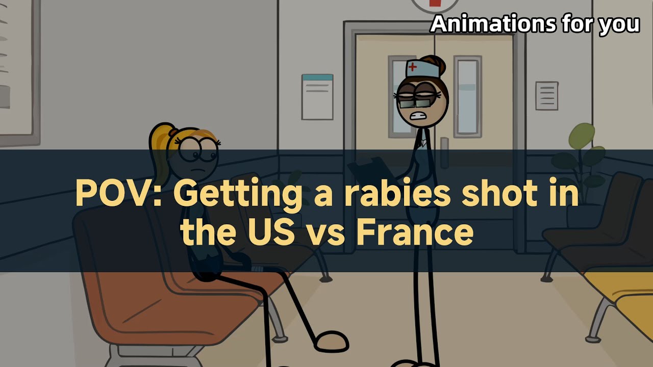 POV: Getting a rabies shot in the US vs France. #animation #healthcare #insurance #vaccine #fyp